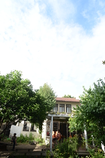 DSC_0099.JPG